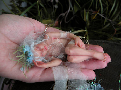 sleeping Faery on the hand