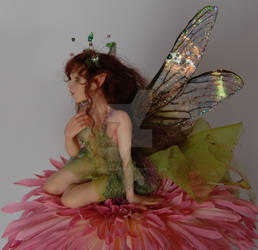 green faery