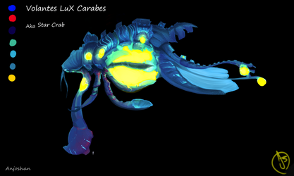 Volantes Lux Carabes - Star Crab - by Anjoshan