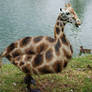 Giraffe Duck