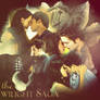 the Twilight Saga