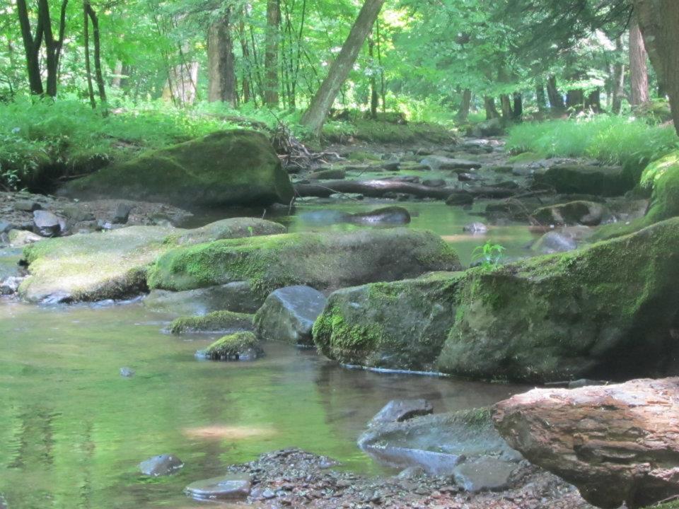 Creek2