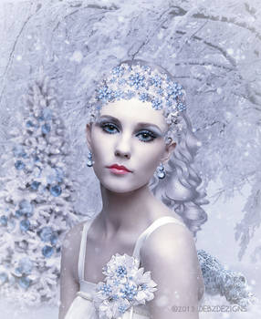 Winter's Bride