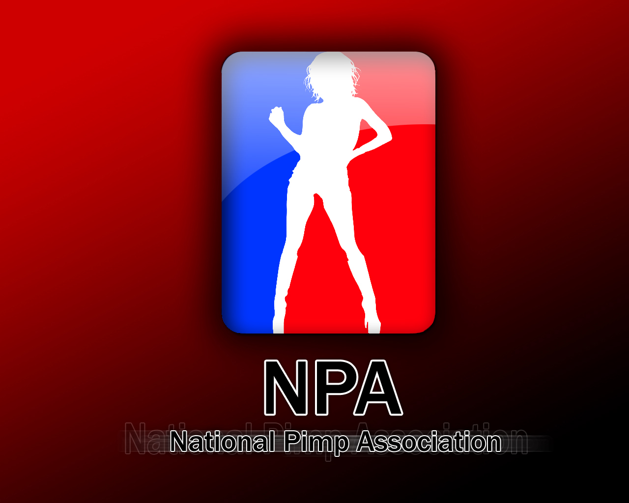 NPA 2nd