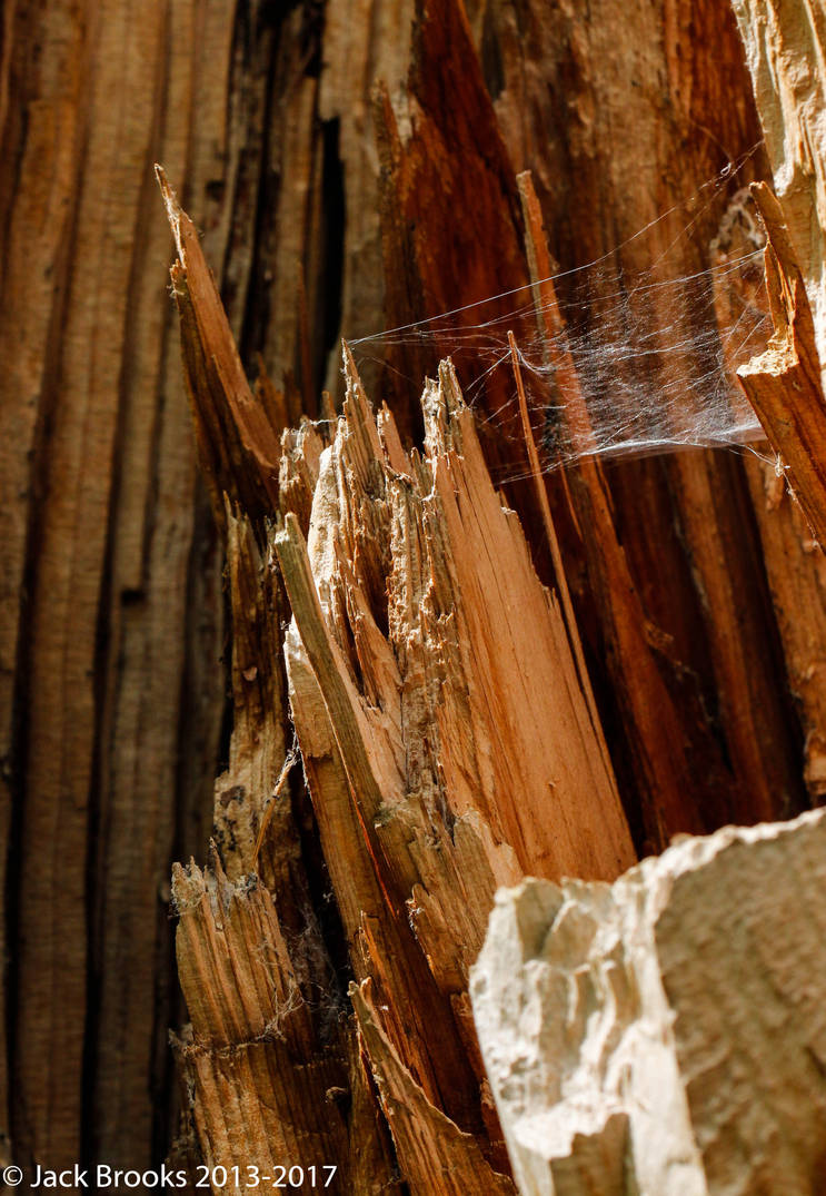 Splinter Spikes by Odd-Day on DeviantArt