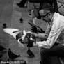 The Pigeon Master