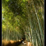 Arashiyama Jog