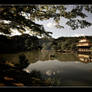 Kinkakuji 2010