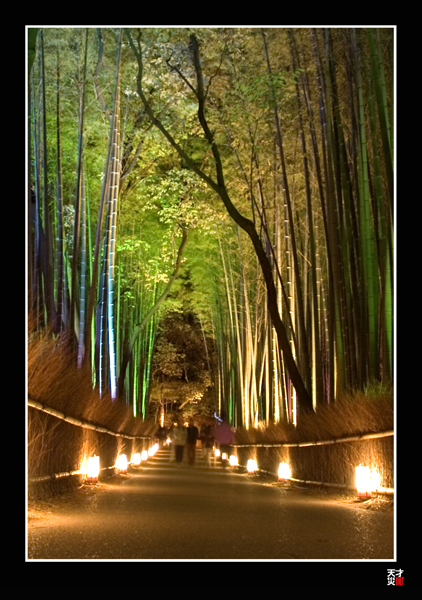 Arashiyama Light UP