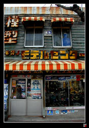 Japanese Model Shop
