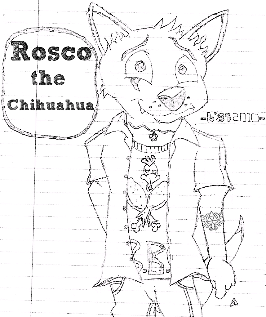 Rosco the Chihuahua