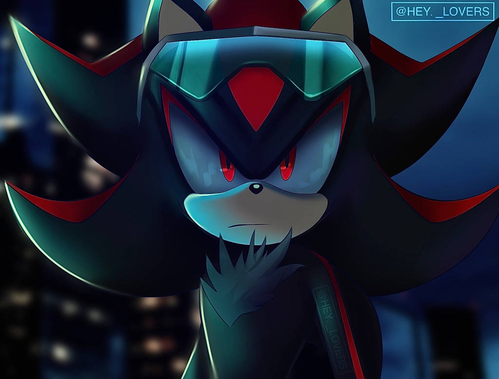 Shadow Sonic Riders 2 by HeyLovers24 on DeviantArt