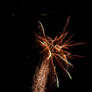 Fireworks 11