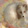 White Fox