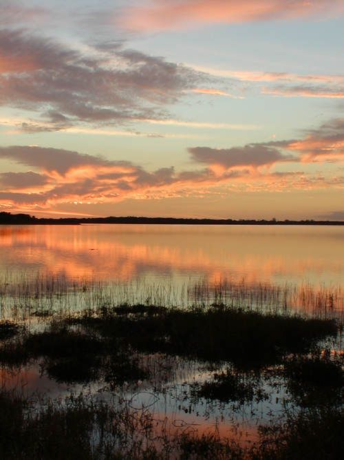 Sunset at Myakka 4