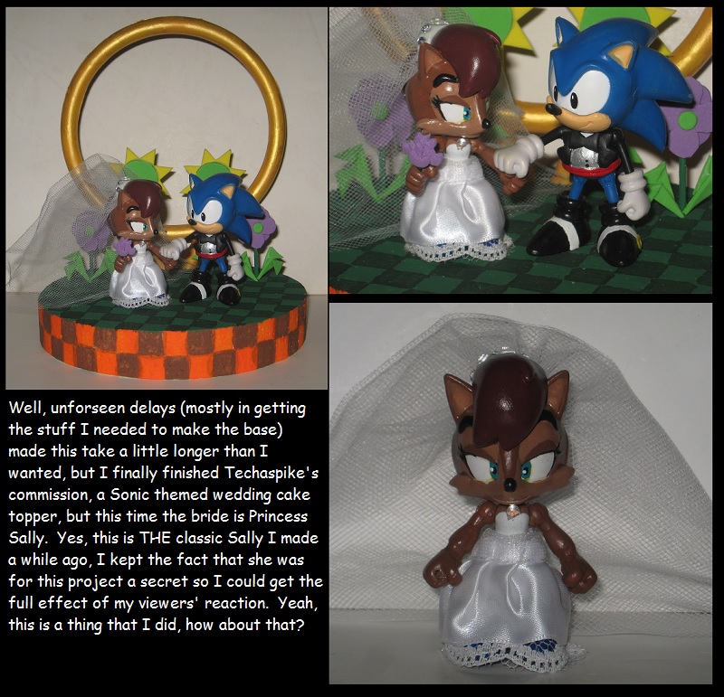 Commission: Sonic and Sally wedding cake topper by Wakeangel2001