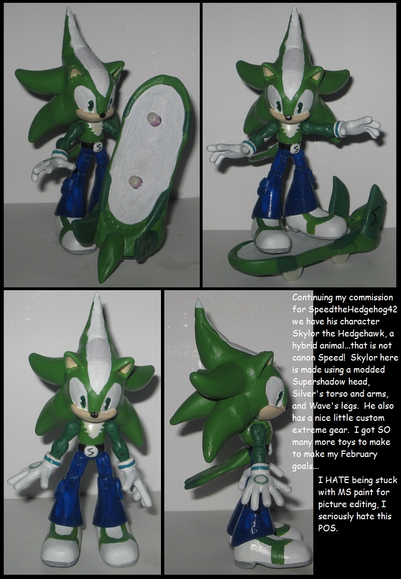 custom commission: Skylor the Hedgehawk