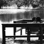 Couple kissing at lake