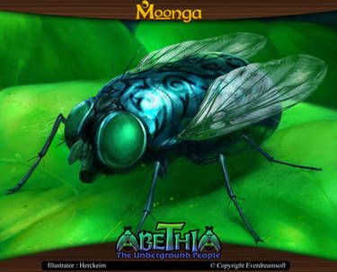 Moonga - Fly