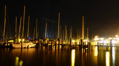 Discovery at the Marina