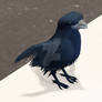 January 3D Activity Log: Bird