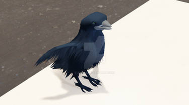 January 3D Activity Log: Bird