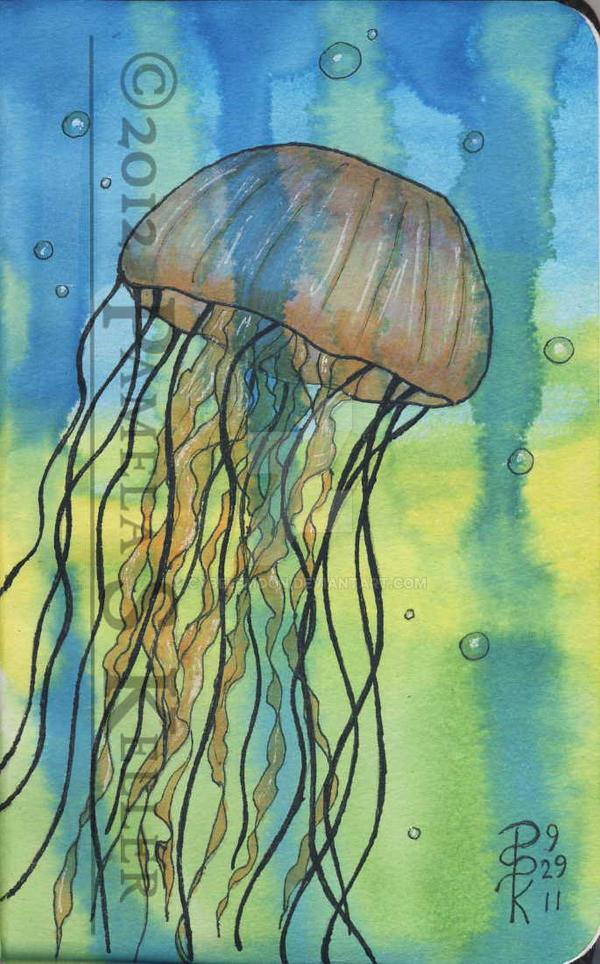Adventures of a Jellyfish