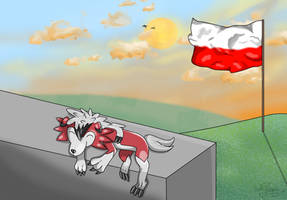 Polish independence