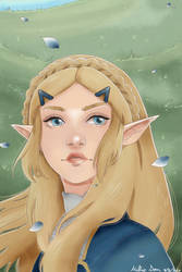 Zelda Breath of the Wild