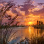 Tropical rivers