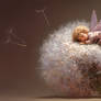 The fairy cushion