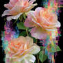 Last of the English roses