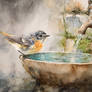 The robins' bathtub