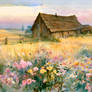 Morning meadow