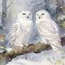 Snowbound beauty