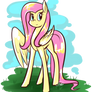 Confident Flutters