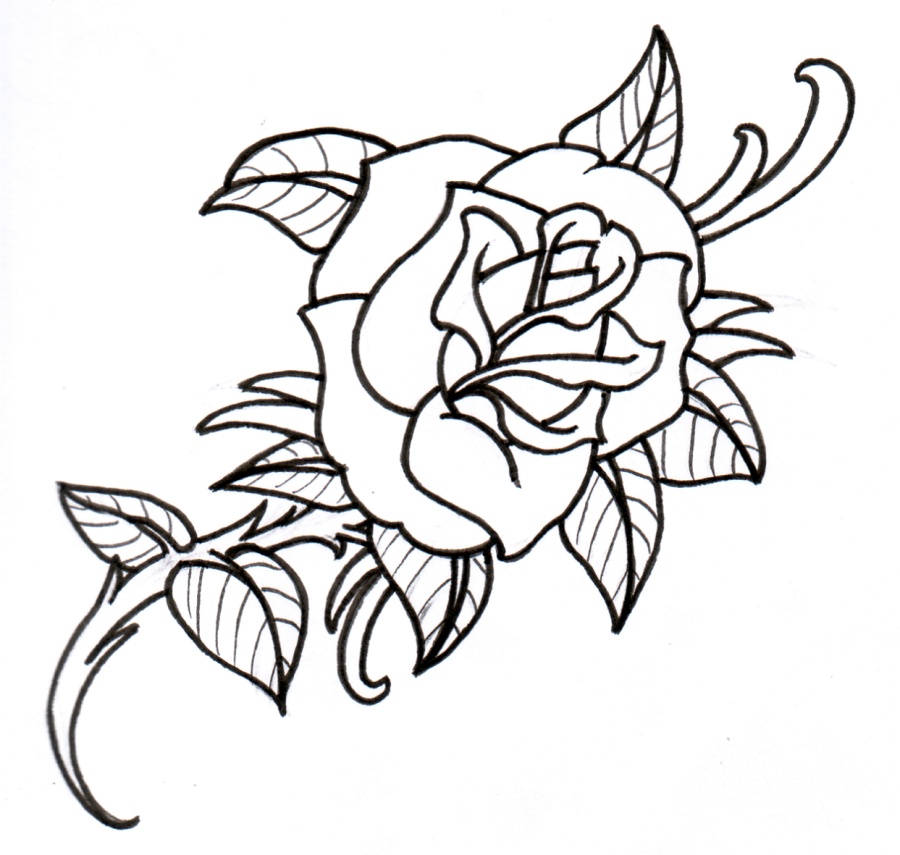 Old School Rose Outline by vikingtattoo on DeviantArt Old School Rose Outline by vikingtattoo on DeviantArt