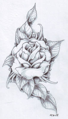 Black and gray Rose