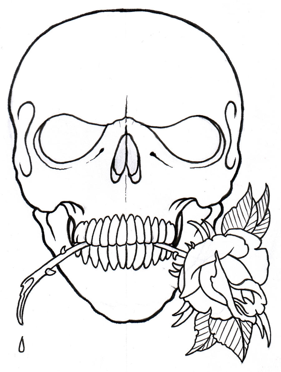 Orasnap Basic Skull Outline Drawing Orasnap Basic Skull Outline Drawing