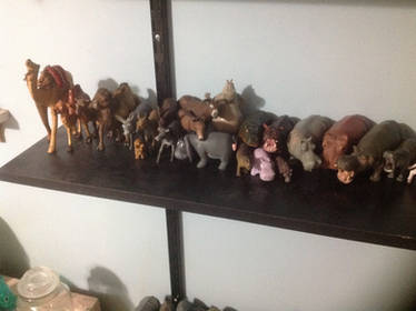 Camels, Donkeys and Hippos on a Shelf