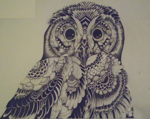 Owl