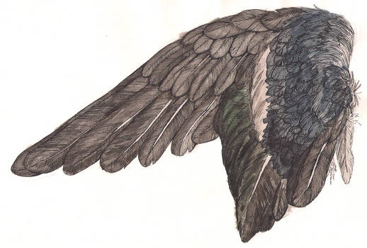 Wing