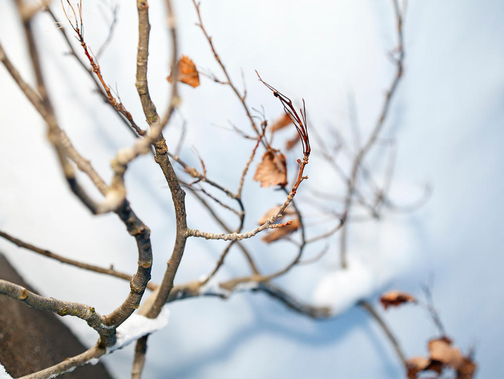 Rising from the coldness pt2 by SpyRou on DeviantArt