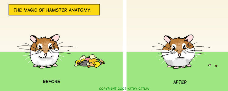 Hamster Comic strip