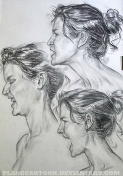 Expressions Study- Profile Charcoal