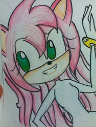 .: AMY ROSE SECOND ATTEMP :.