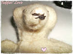 teddy love by evve85