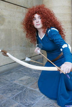 Brave: Merida Crouch