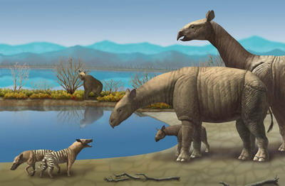 Giant of Oligocene