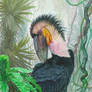 Wreatherd Hornbill